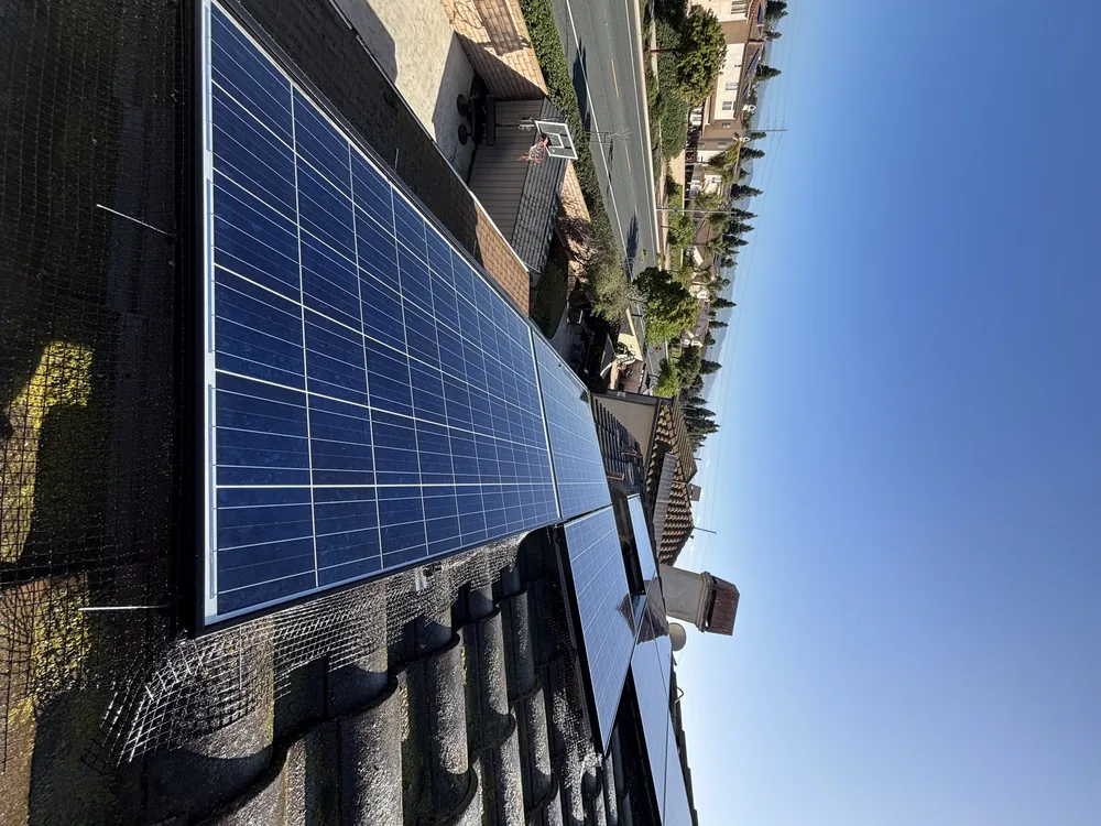 Clean solar panels with bird mesh installed along the roofline