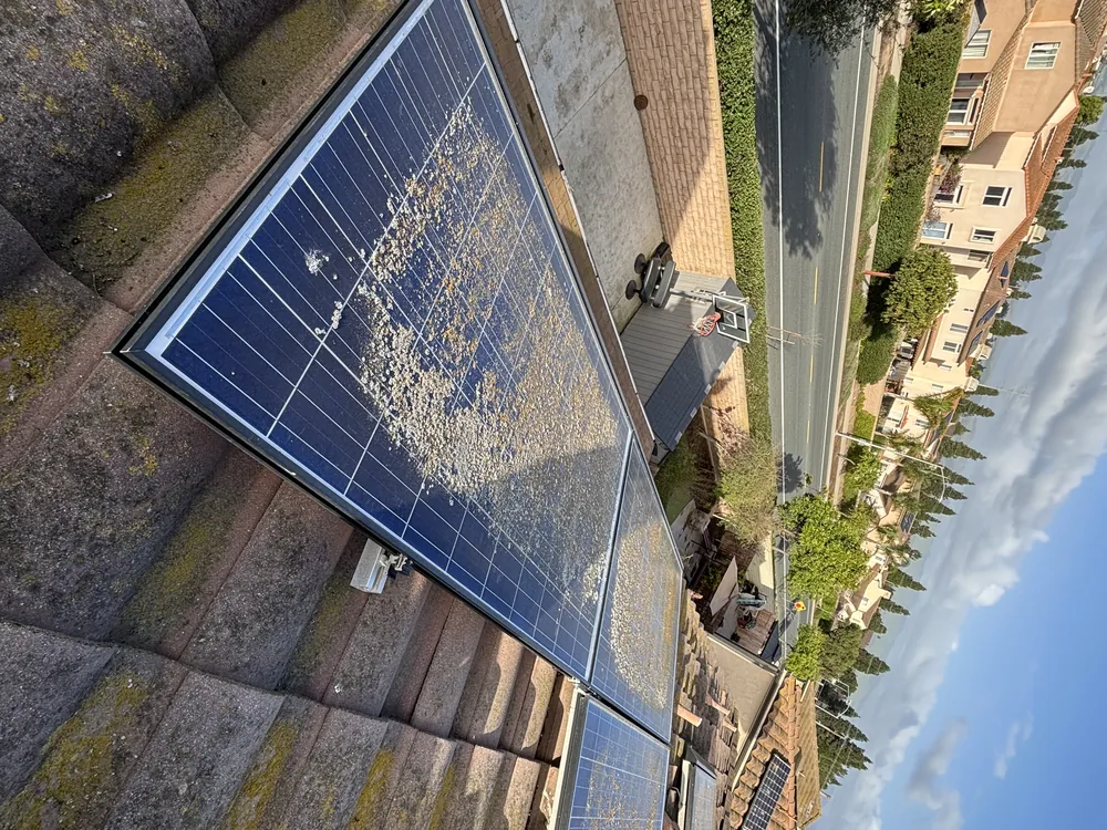 Solar panel covered in heavy bird droppings before service